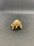 Tasarım Yüzük Kaplumbağa resmi